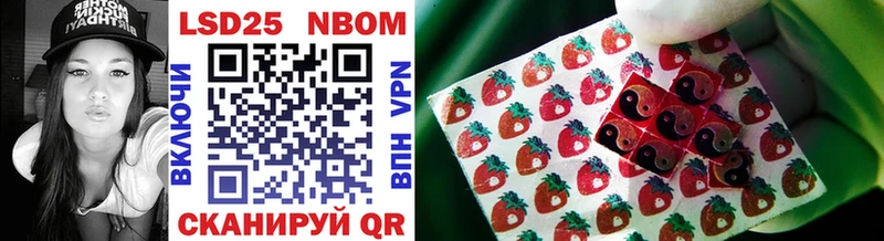 Марки NBOMe 1,8мг  даркнет состав  Камышлов 